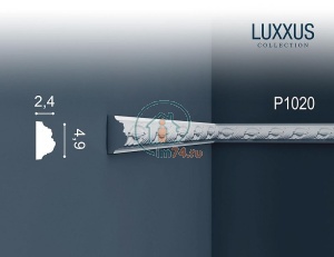  Orac Luxxus P1020  