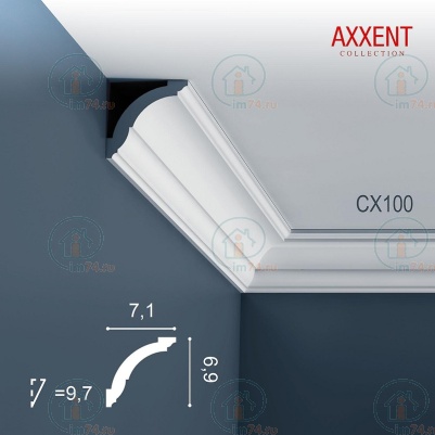  Orac Axxent CX100  
